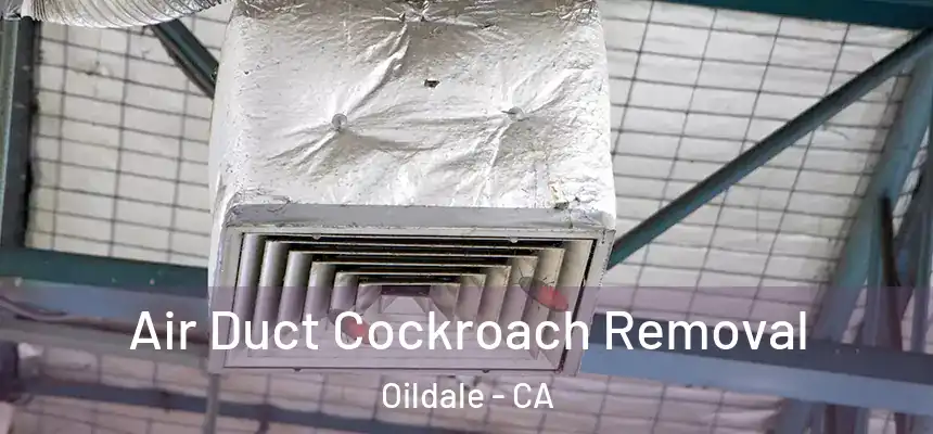 Air Duct Cockroach Removal Oildale - CA