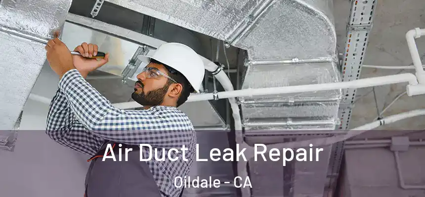  Air Duct Leak Repair Oildale - CA