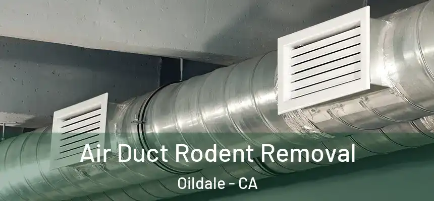  Air Duct Rodent Removal Oildale - CA