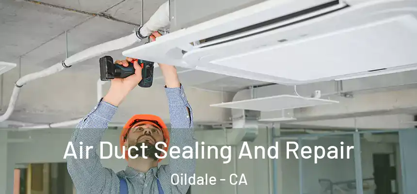  Air Duct Sealing And Repair Oildale - CA