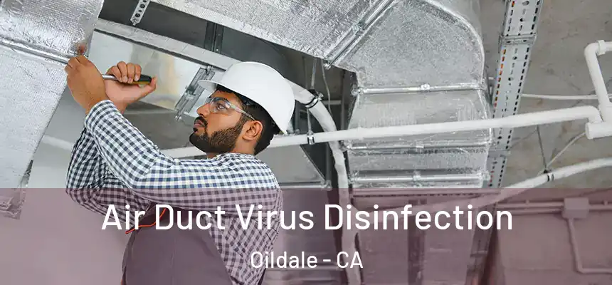  Air Duct Virus Disinfection Oildale - CA