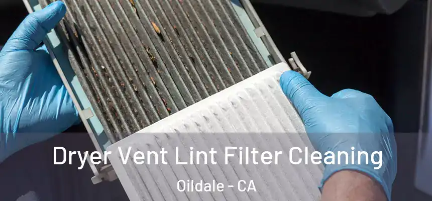 Dryer Vent Lint Filter Cleaning Oildale - CA