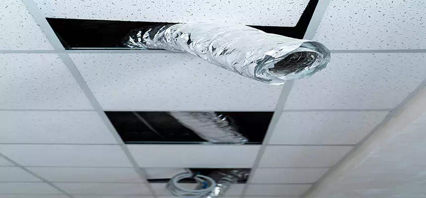 Affordable HVAC Sanitizing After Pest Removal in Oildale