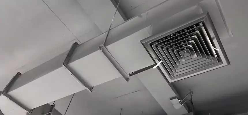 Our Pest Removal From Ducts Services in Oildale, CA