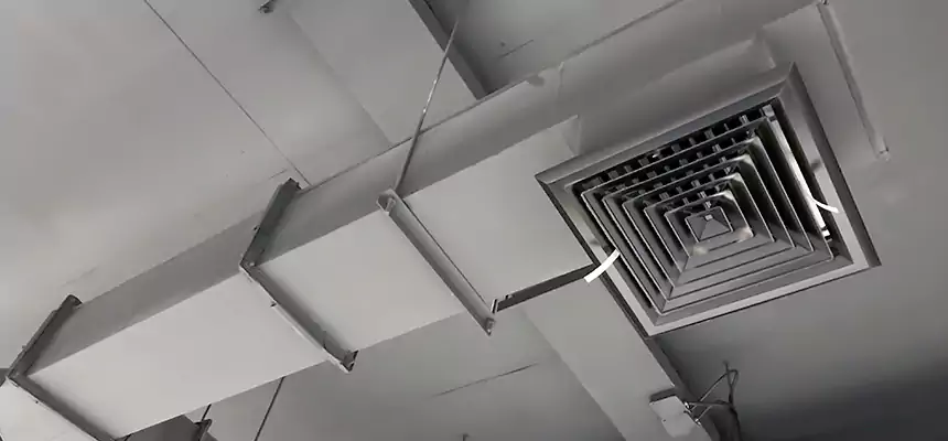 Our Rodent Droppings In Vents Services in Oildale, CA