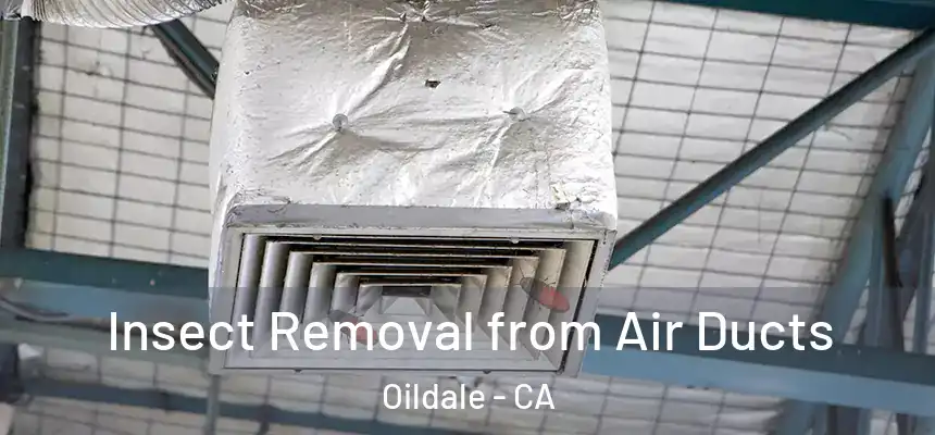Insect Removal from Air Ducts Oildale - CA
