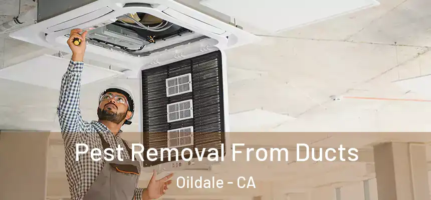 Pest Removal From Ducts Oildale - CA