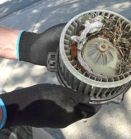 About Air Duct Mice Removal in Oildale, CA