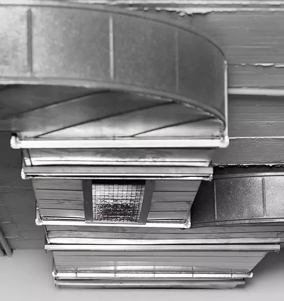 Professional Air Duct Pest Removal in Oildale, CA