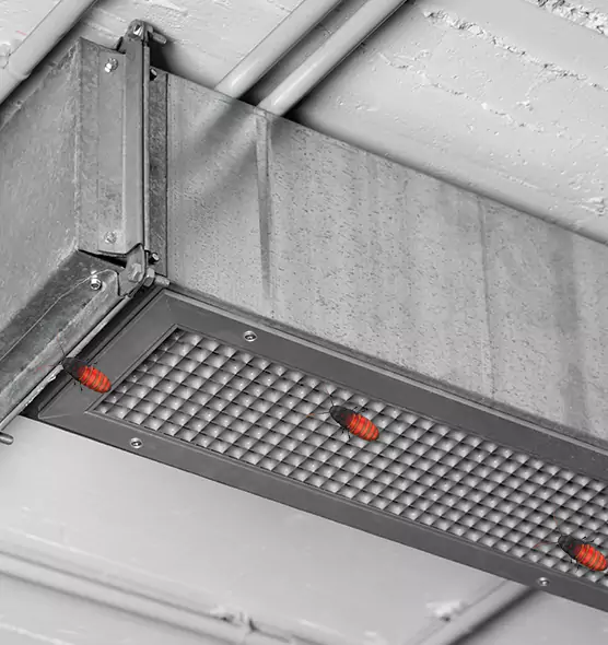 Affordable Insect Removal from Air Ducts in Oildale, CA