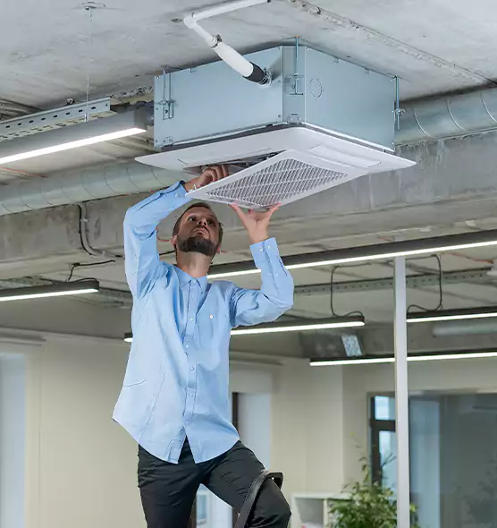 Advanced Rodent Droppings In Vents in Oildale, CA