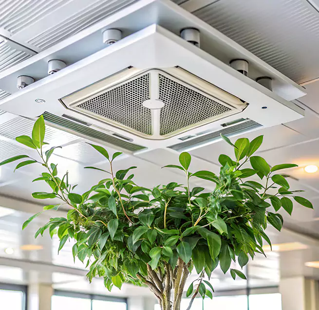 Why Homeowners & Businesses Trust Us in Oildale, CA